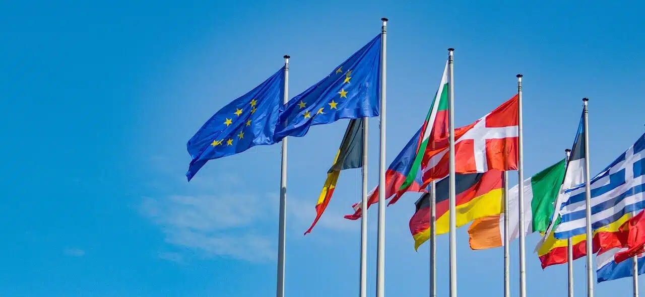 EU flags