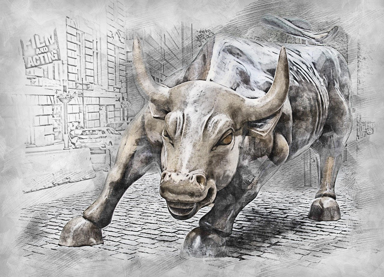 bull